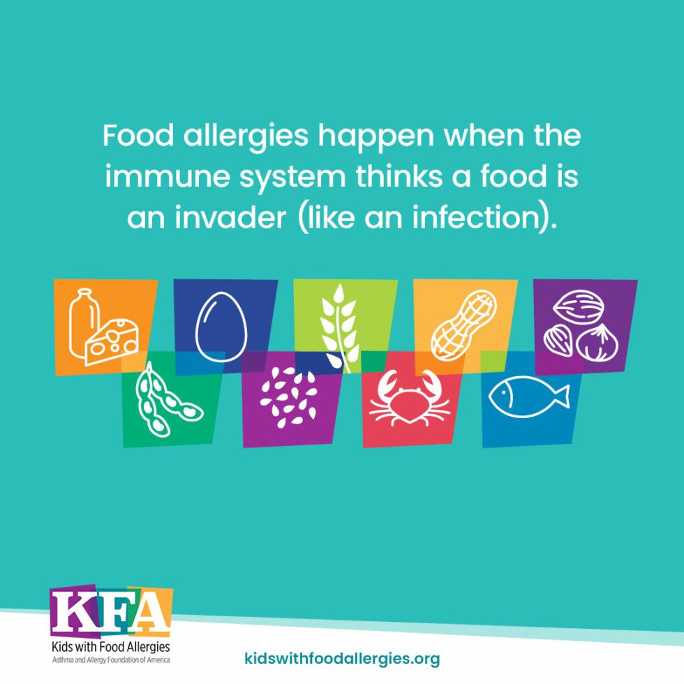 Preventing Food Allergies Recommendations For Pregnancy And Infancy