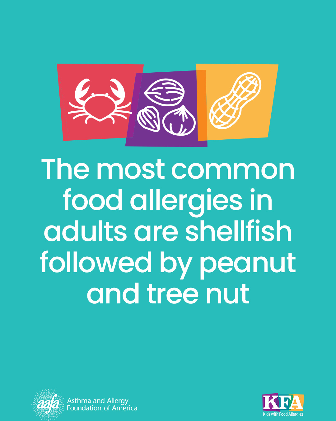 A light teal background with icons for shellfish, tree nut, and peanut with the text the most common food allergies in adults are shellfish followed by peanut and tree nut.