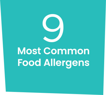 most common food allergens icon